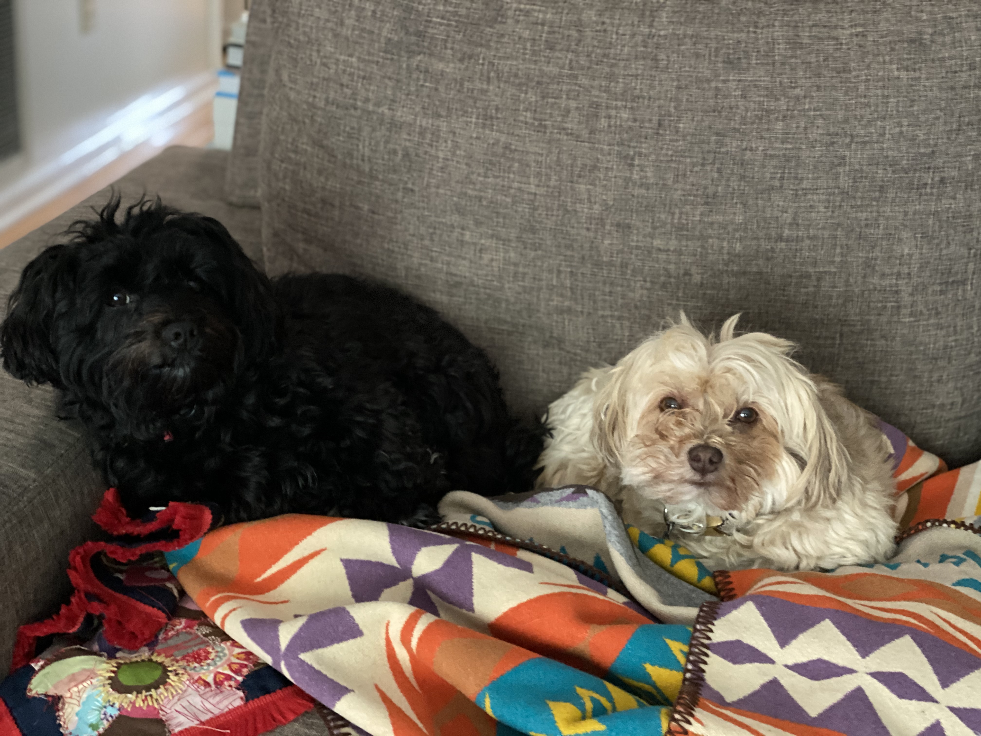 Dolly and Belle