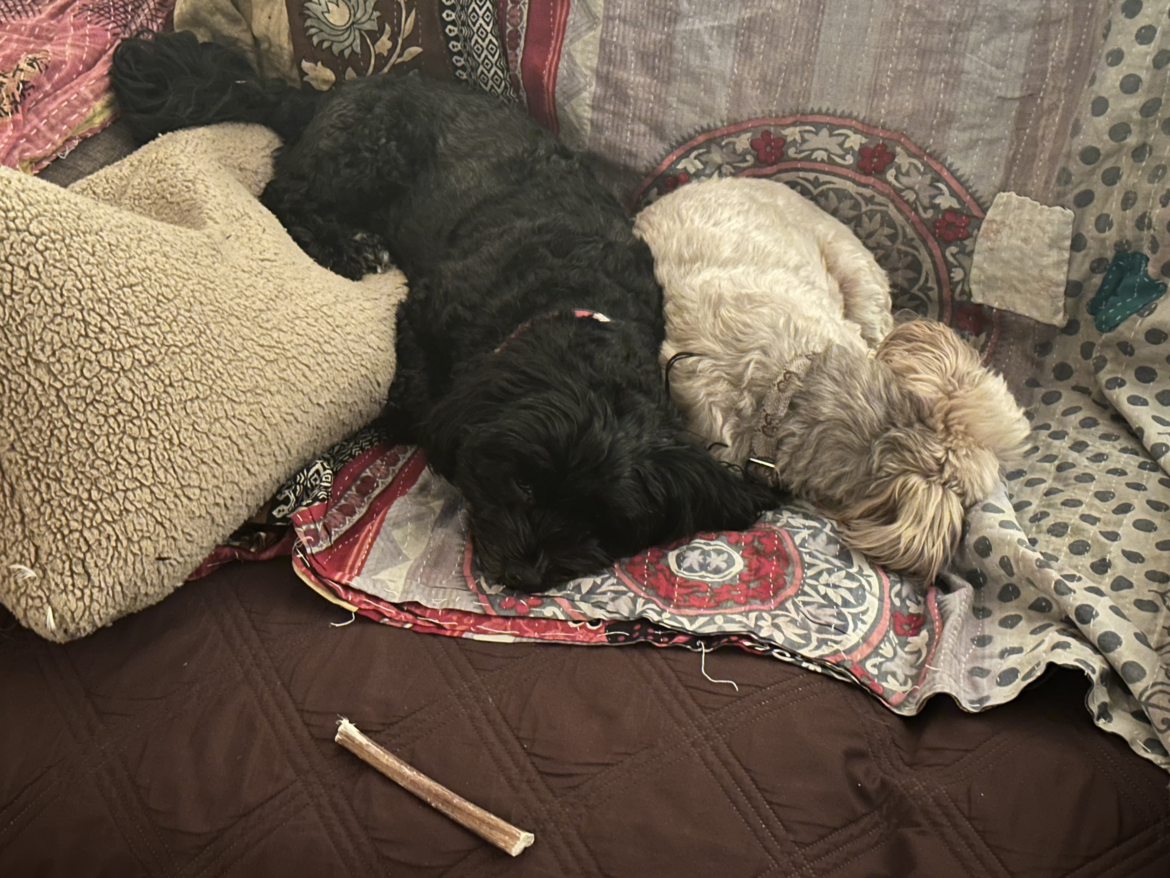Dolly and Belle