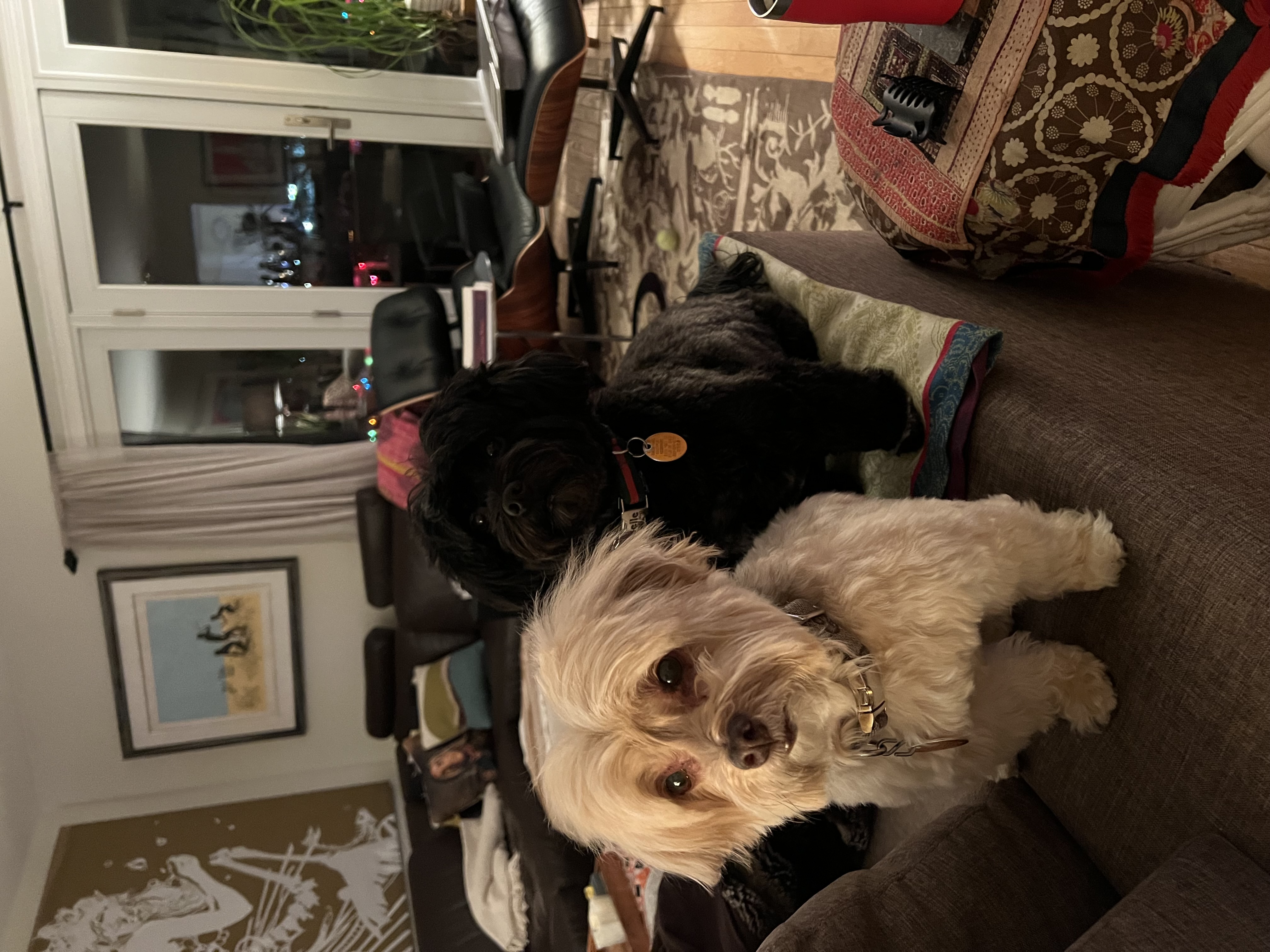 Dolly and Belle